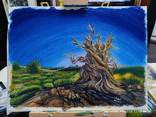 油画X打人柳（个人主页-ZNTI3NTk5MzI=） - 绘画 - 站酷设计师SaBeL13原创素材 - 站酷ZCOOL