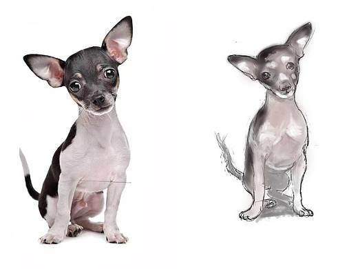 刚开始接触手绘板,做做练习