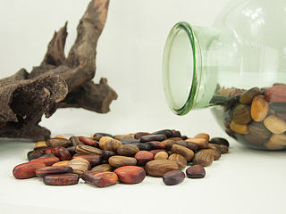 拾一枚温暖的木质鹅卵石