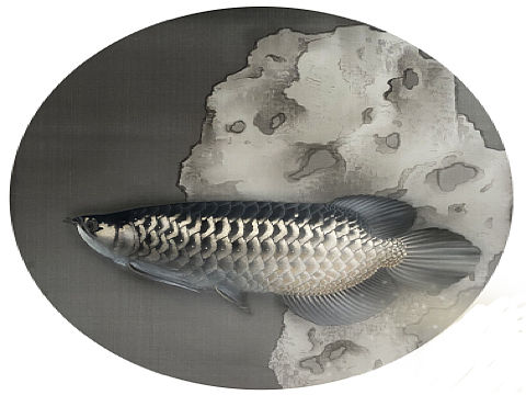 两年后再画金龙鱼
