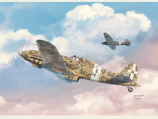 意大利Mc.202与Re.2005战机封绘