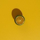 山月摄影的头像