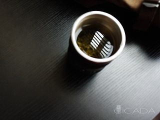 CICADA_蝉之夏静物摄影