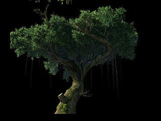 刀刀speedtree作品