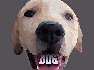 low poly 練習（個人主頁-ZNzA4OTMzMg==） - 圖案 - 站酷設(shè)計師campaco原創(chuàng)素材 - 站酷ZCOOL