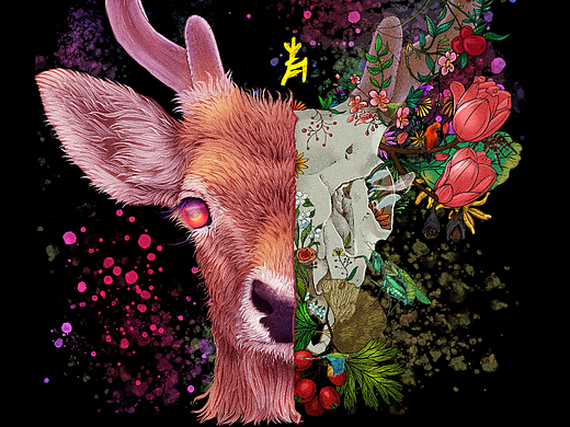 动物插画-骨训系列3