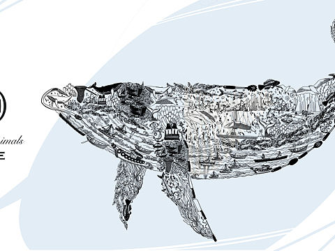 保护动物纪念币