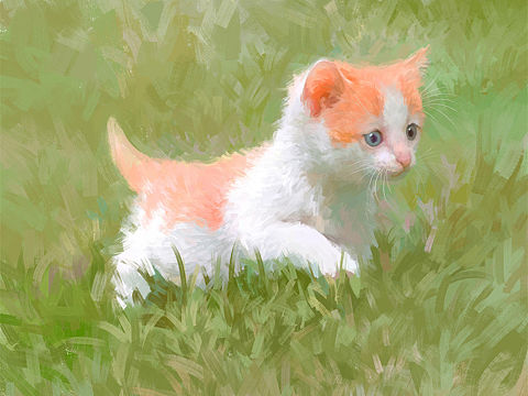 《小猫踏春图》