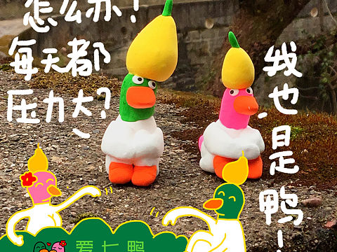 爱七鸭 第85集 鸭梨山大鸭