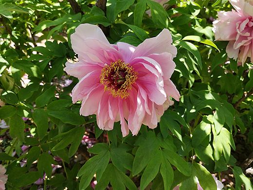 西流湖（個人主頁-ZMzUxMzcwMjA=） - 風(fēng)光攝影 - 站酷設(shè)計師ciliy小白原創(chuàng)素材 - 站酷ZCOOL