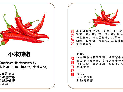植物蔬菜科普卡贴