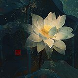肖峤祁iHANK的头像