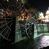 小神龙Yl的头像