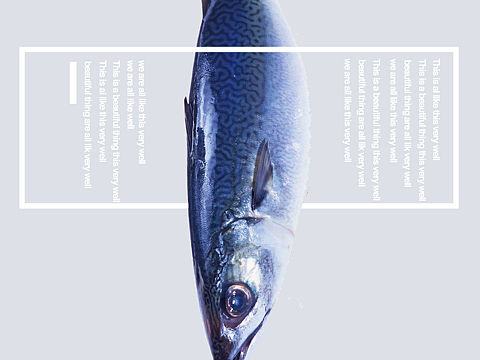 食物海报