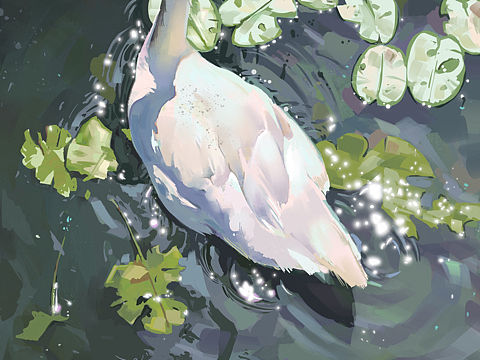 厚涂天鹅