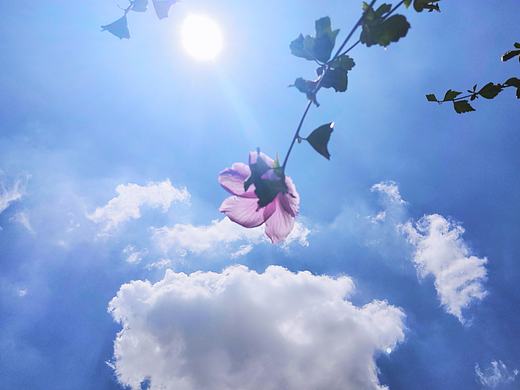 故事的小红花（个人主页-ZMzY0NzE2NjA=） - 风光摄影 - 站酷设计师没有鼻子的鱼原创素材 - 站酷ZCOOL