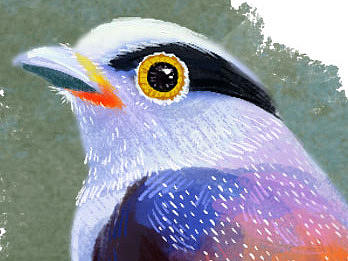 日常小练习（个人主页-ZMTY0NTE4MjA=） - 创作习作 - 站酷设计师阿洁洁原创素材 - 站酷ZCOOL