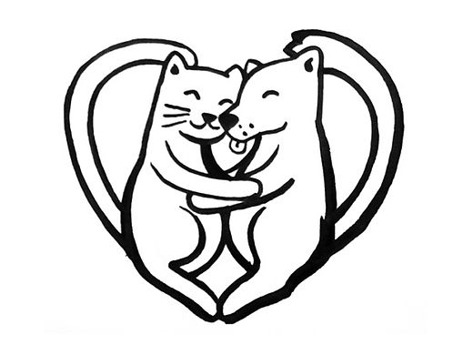 29斩·公益-关爱动物