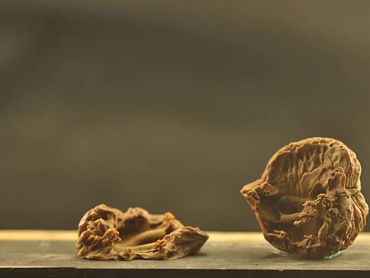 核桃雕刻作品欣赏