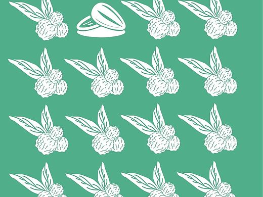 《洽洽--恰恰不一样》（个人主页-ZNDIyNTI4ODQ=） - 品牌 - 站酷设计师Z31059425原创素材 - 站酷ZCOOL