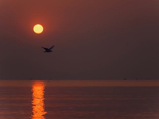 2019年的第一个日出——山东日照