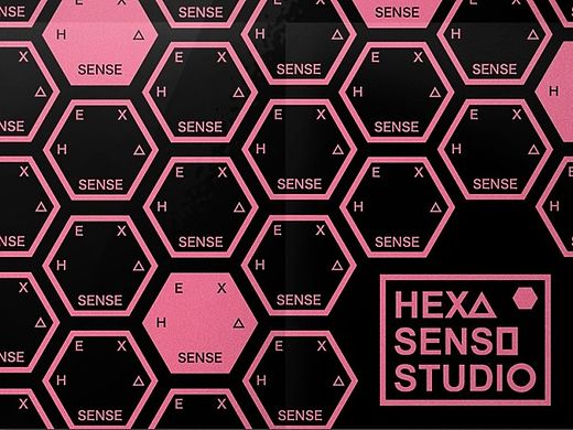 FOR HEXA SENSE *