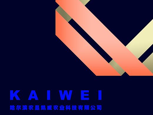 凱德logo設計（個人主頁-ZMTQ1MDI0MDg=） - Logo - 站酷設計師黑龍江鏡壹空間原創(chuàng)素材 - 站酷ZCOOL