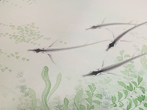 游鱼