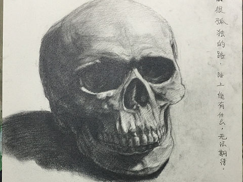 石膏头像骷髅头素描写生