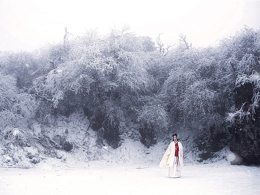江山雪