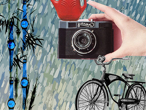 竹子为何这么直