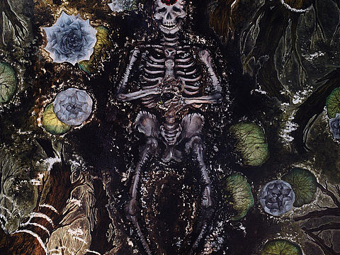 自然永生（个人主页-ZNDc2NTY0MzY=） - 商业插画 - 站酷设计师益菌多plus原创素材 - 站酷ZCOOL