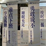 小怪伍的头像
