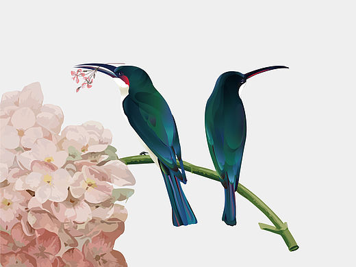 仰山VI视觉-鼠绘-蜂鸟
