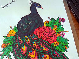 绘画练习---孔雀