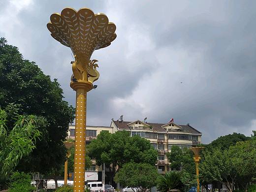 公园广场孔雀变色景观路灯