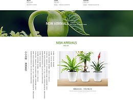 植物首頁