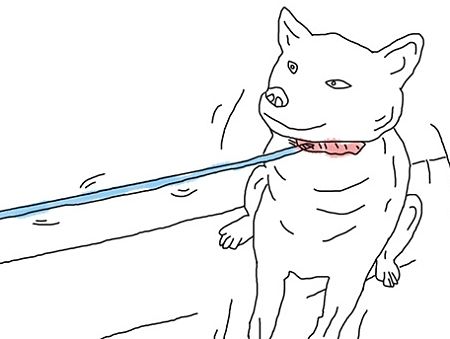 手机APP引导页展示