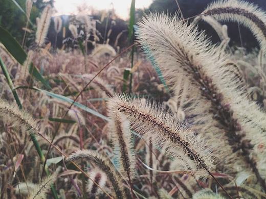 手机照相（个人主页-ZMzA2MTcwMTI=） - 产品摄影 - 站酷设计师zhankuguoshikai原创素材 - 站酷ZCOOL