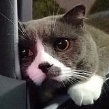 韩善任的头像