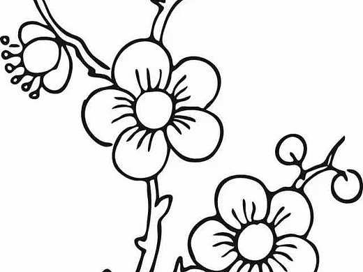 素材扣图|一组花的简笔画分享