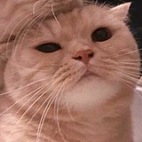 颜长生的头像