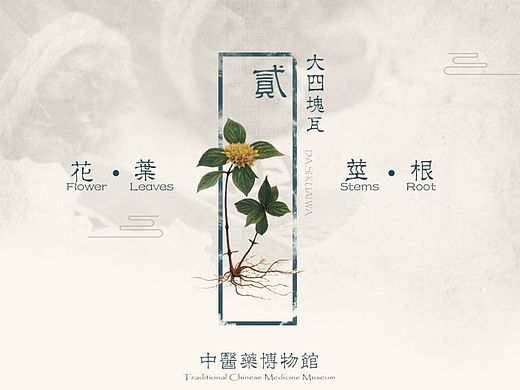 Eden Walk，伦敦中心城区的改造项目，中草药展示项目