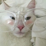 JIAX6的头像
