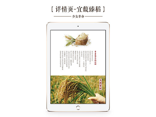宝贝详情页设计/中国风描述页/大米/云南特产/排版/美食特产