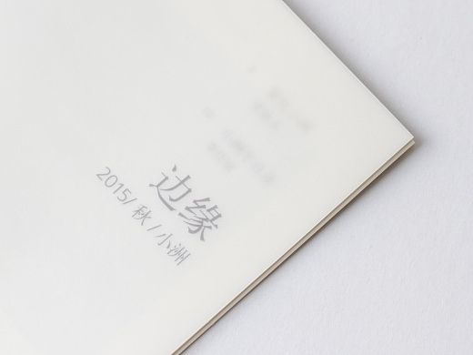 边缘-小洲村改造计划