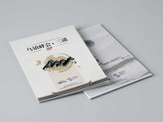 《乌镇峰会》封面设计