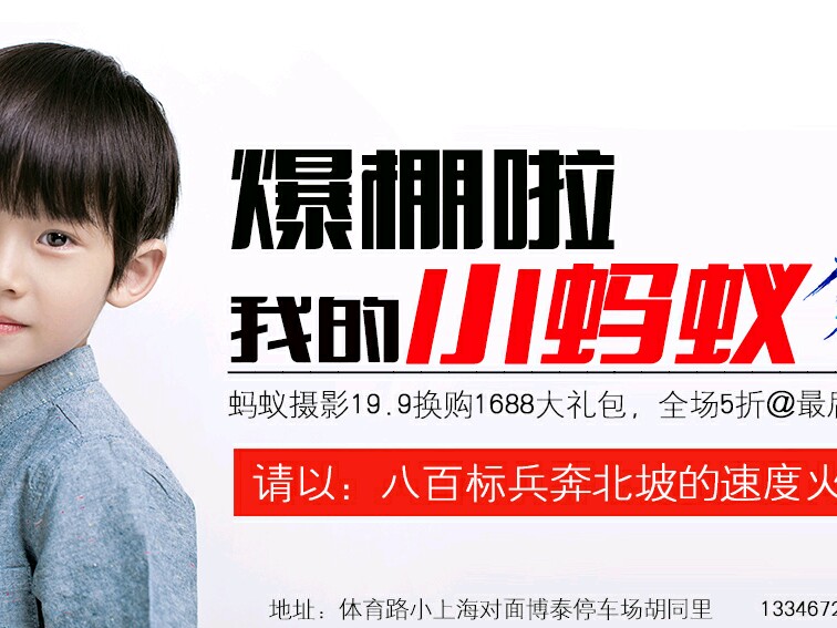 蚂蚁摄影