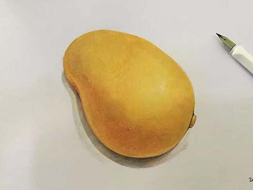 彩铅画  芒果