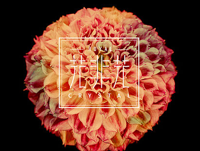 花非花品牌包装设计（个人主页-ZMTQzOTEwMjA=） - 品牌 - 站酷设计师禾西设计事务所原创素材 - 站酷ZCOOL